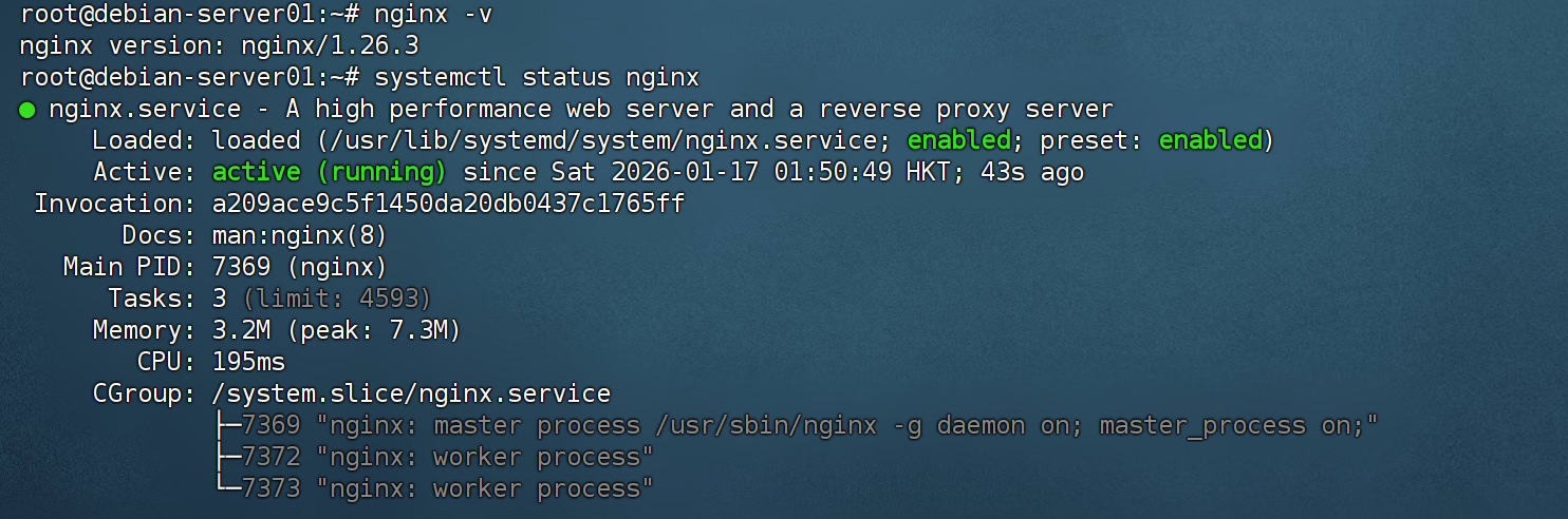 查看 Nginx 版本和运行状态的命令输出